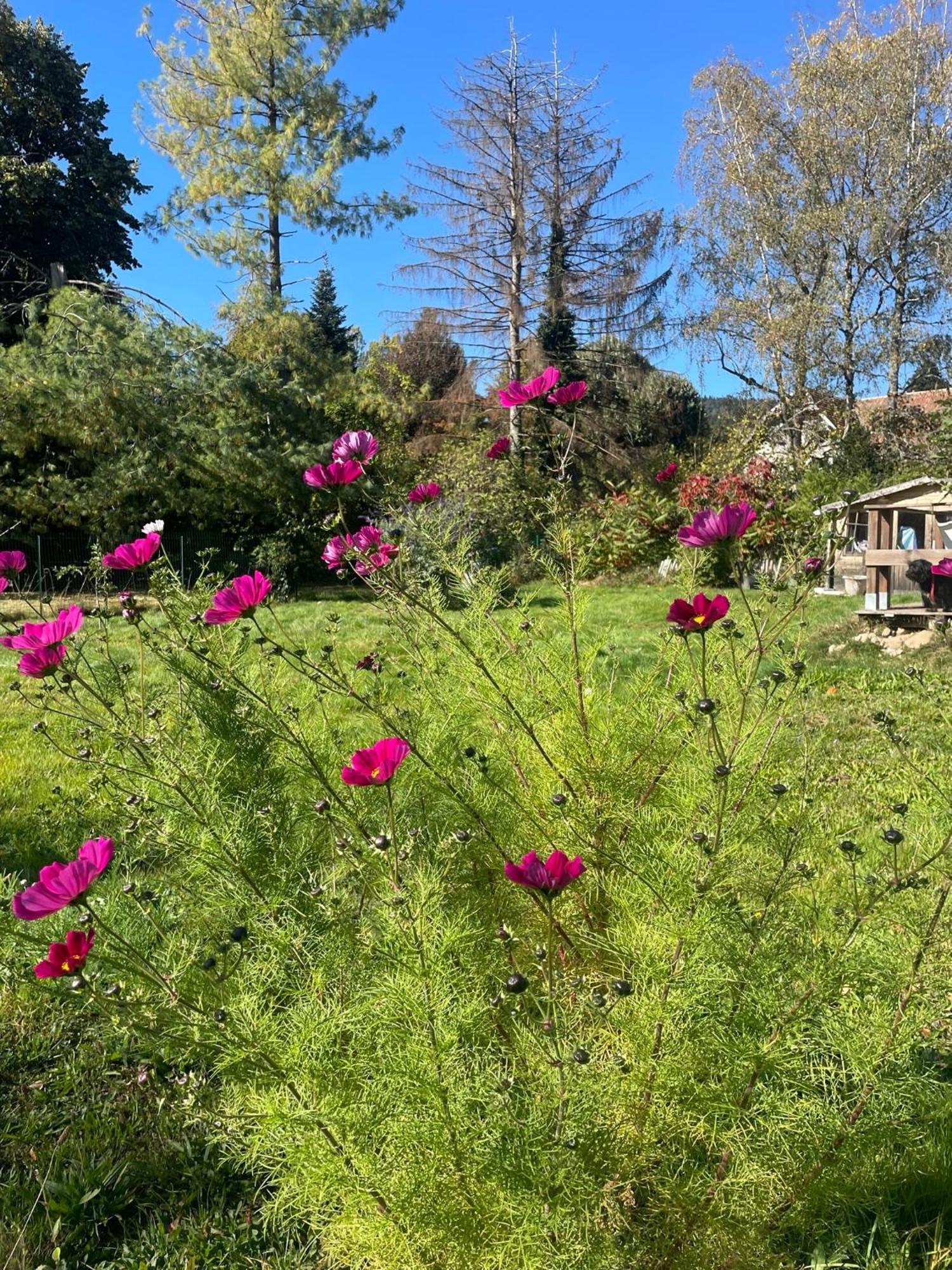 O Village Giromagny 外观 照片